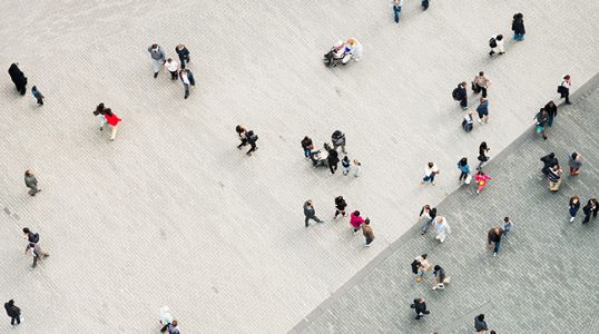 Global Market Review – November 2024